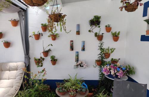 CASA NA ALDEIA - Photo 43