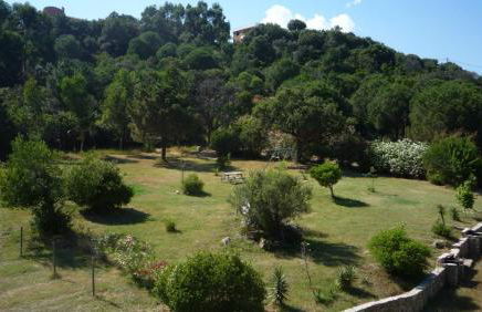 Residence VILLA MOROSI - Favone - Foto 44