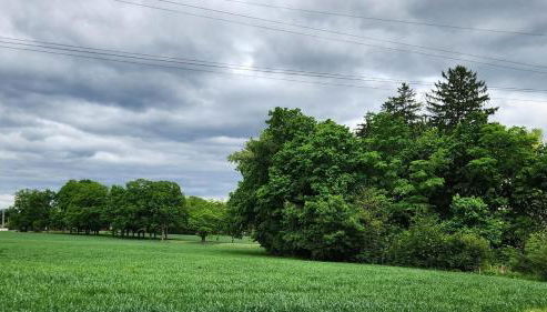 The Yellow House - Foto 3