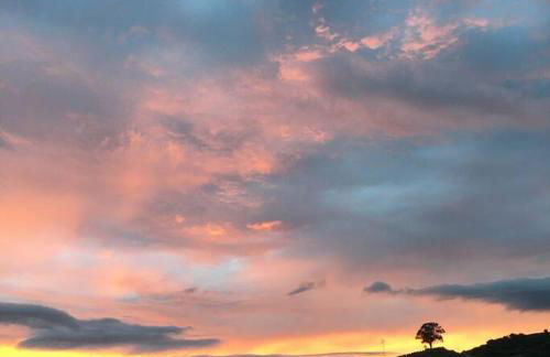 Quinta do Enxertado - Foto 9