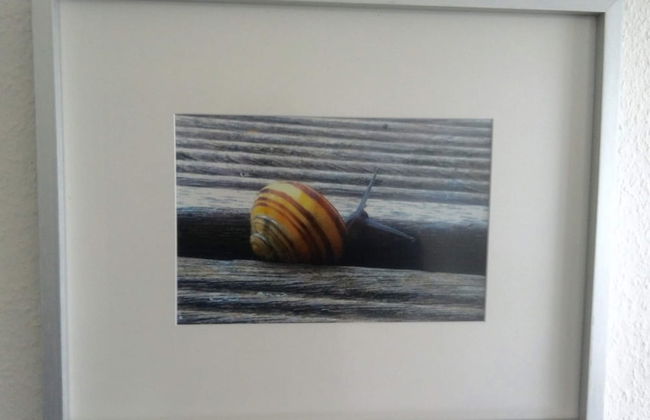 Quiet Holiday Home in Fliemstorf Germany near Beach - Foto 17