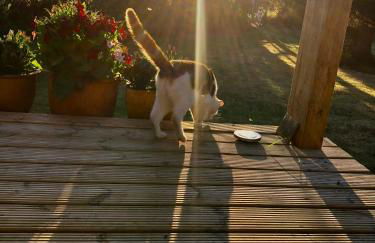 The Vikings Retreat - Foto 24