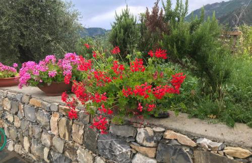 Appartamenti Borgo San Pietro - Foto 41