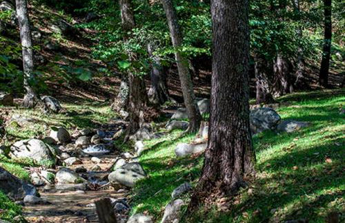 Masía El Moli de Can Aulet - Foto 35