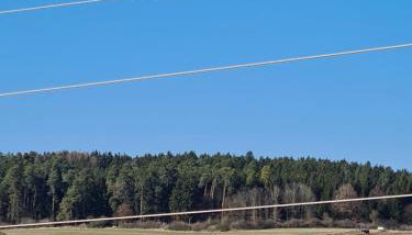 Ferienwohnung "Andrea" - Foto 4