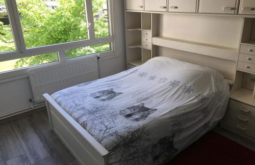 BedinReims "burgundy bottle" 110m2 Exceptional, 4 chambres doubles, 2 bain, free park & wifi, tout équipé - Foto 32