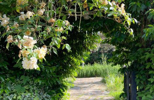 Charming Garden Retreat in Pedrogao Grande - Foto 37