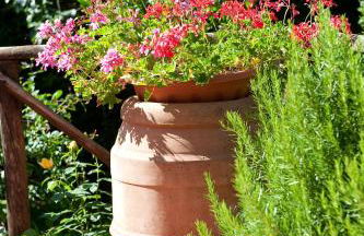 Borgo San Savino - Photo 49