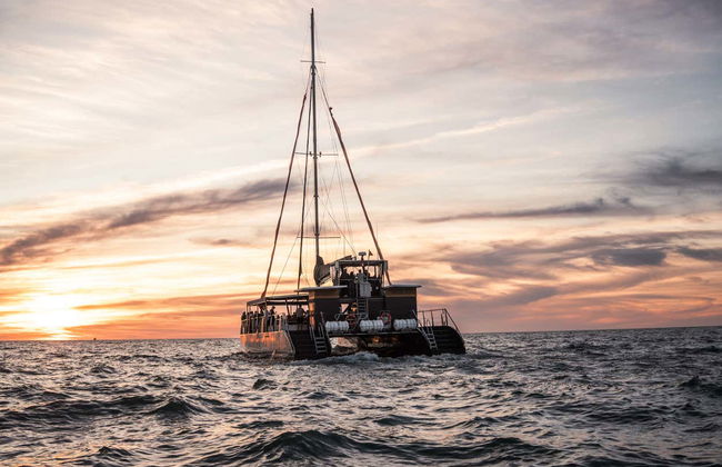 Cádiz Sunset Catamaran Tour - Foto 2