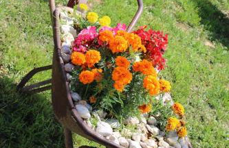 Nikini dvori - Foto 2