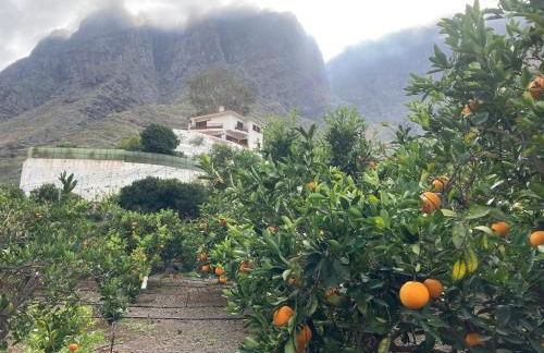 Casa Camino Tamadaba II (bottom home) - Foto 38