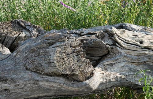 Rocca dei Saraceni - Foto 58