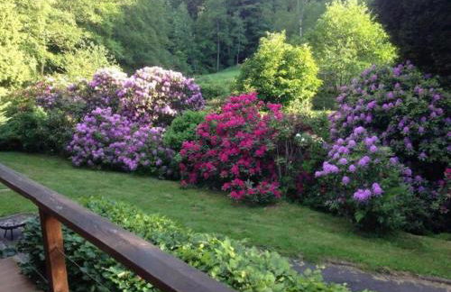 Premium apartment in Saint-Quirin with garden - Foto 61