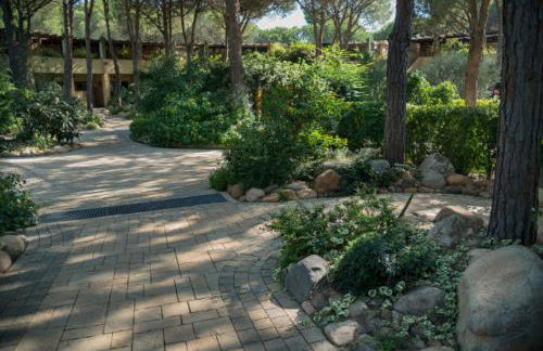 Abbaechelu - Foto 20