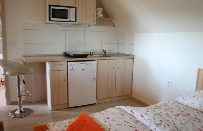 PENZION POD PALAVU - Photo 12