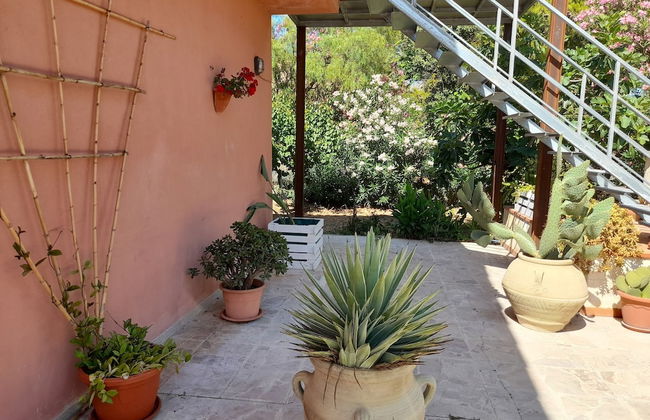 Margherita's Nest by the sea With Birds Song - Foto 20