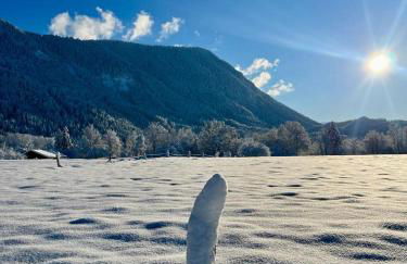 Neu - Ferienhaus Moritz & Josie zur Alleinnutzung - Foto 74