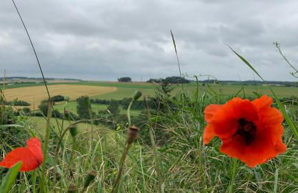 Le Moulin de la Planquette - Foto 33
