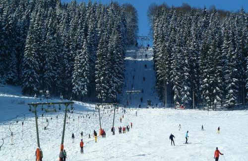 Ferienwohnung in der Nahe des Skigebietes - Foto 30