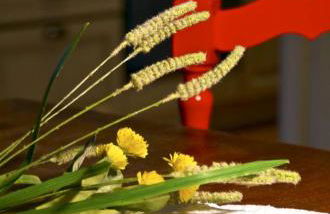 Le Casacce Case per Vacanze - Foto 1