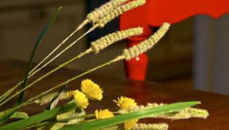 Le Casacce Case per Vacanze - Foto 1