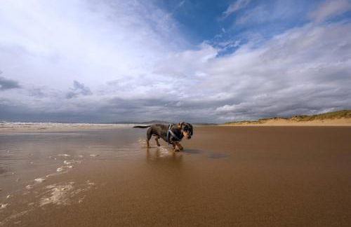 Afan Forest Retreat Trails from the door - Foto 78