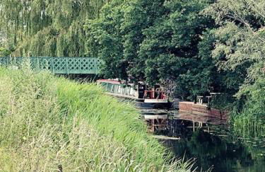 Living Like a Local at Dotties - Foto 32