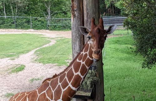 Pondside Perch - Your Waterfront Retreat home - Foto 60