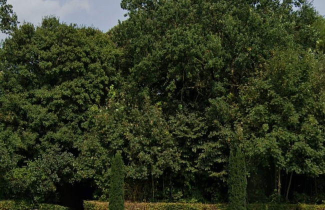 4 Person Holiday Home in Skaerbaek - Foto 16