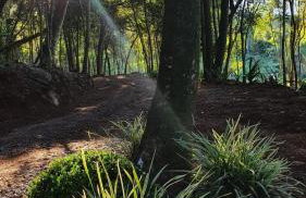 Cabanas da Mata Com Vista para as Montanhas na Serra Gaúcha - Foto 36