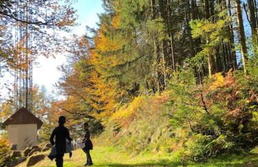 Le chalet des coeurs - Foto 38