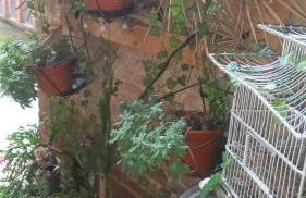 EL RINCÓN DE CHAVELY Estancia minima 2 noches - Foto 36