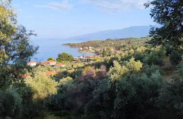 erofili apartments - Photo 49