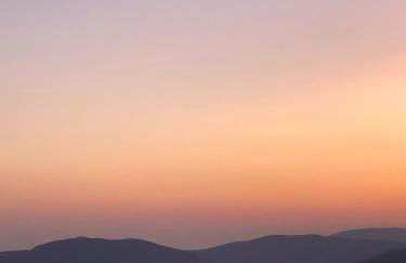 Melolia Estate - Photo 50