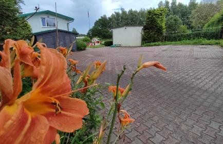 Agroturystyka nad morzem II - Foto 26