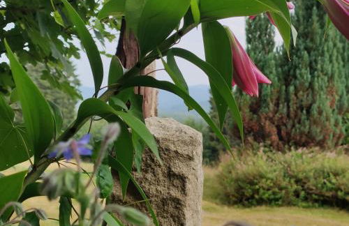 Altes Forsthaus Bodenmais - Foto 27