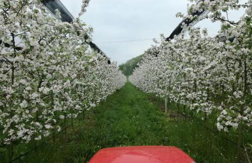 Agriturismo CasaMela - Foto 28