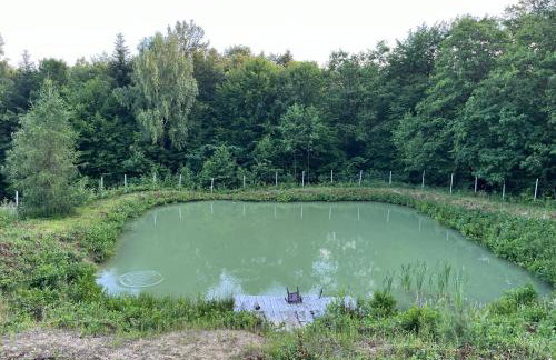 domek pod gwiazdami - Foto 6