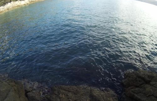 Apartments Plavčić - Foto 24