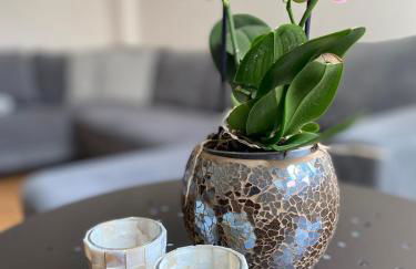 SweetLeopold1 - Foto 7