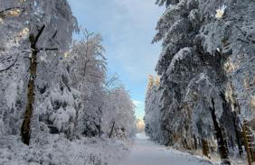 Maries bunte Villa - Foto 38