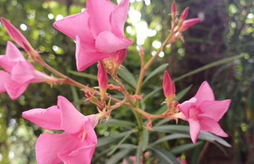 Peaks & Waves Apartment - Photo 21