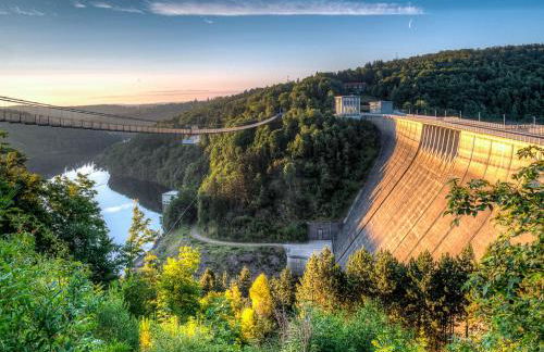 Waldrandzauber - Foto 36