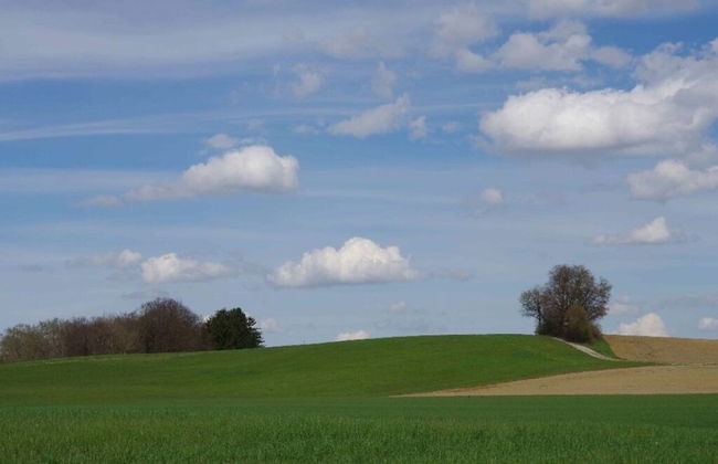 Gezellige Cottage - Foto 13