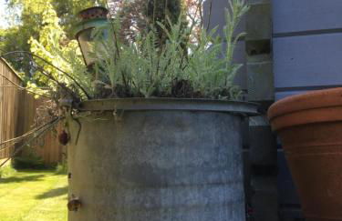 Walnut Tree Lodge - Photo 21