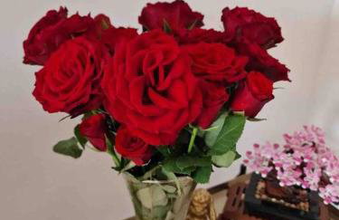 Large Luxury appartment - Foto 27