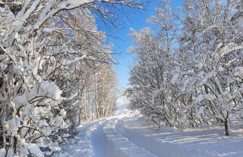 Ferienhaus Mayr - Ferienwohnung Bergblick - Foto 33