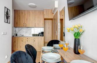 Krynica Apartamenty Apartament Studio Cicha 12 Parking - Foto 6