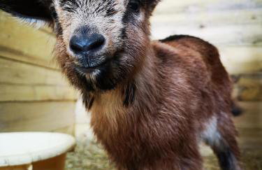 Maison Trichard - Photo 66