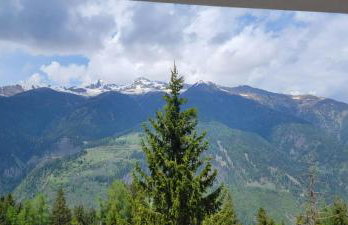 Appartamento Pian dei Mughi Marilleva 1400 - Foto 9